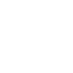 Alazi Dream Project- Internation NGO